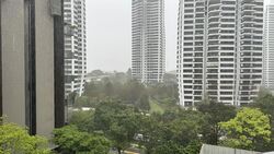 Leedon Green (D10), Condominium #470466451